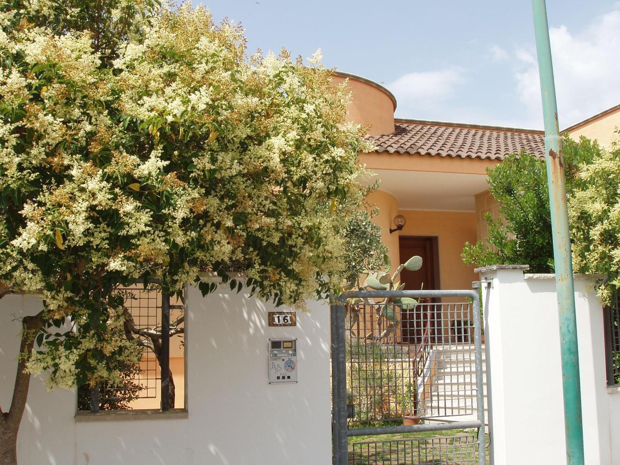 Bed and Breakfast Residenza Del Sole Surbo Zewnętrze zdjęcie